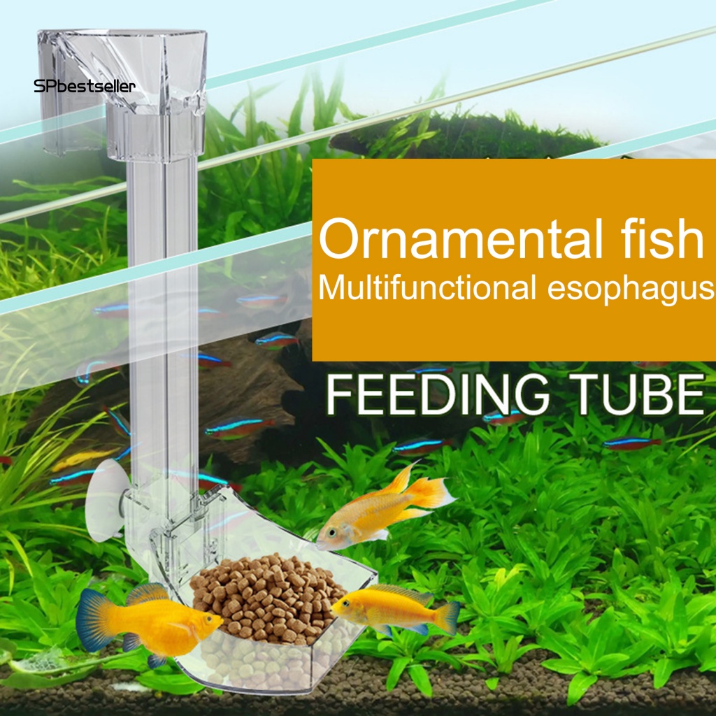 Ống Trong Suốt Đựng Thức Ăn Cho Cá Cảnh Thiết Kế Tiện Lợi Dễ Dùng