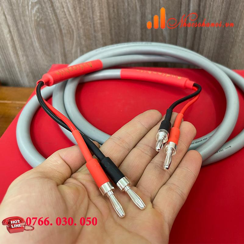 DÂY LOA XCC- MẠ BẠC THÀNH PHẨM 2M/1 VẾ