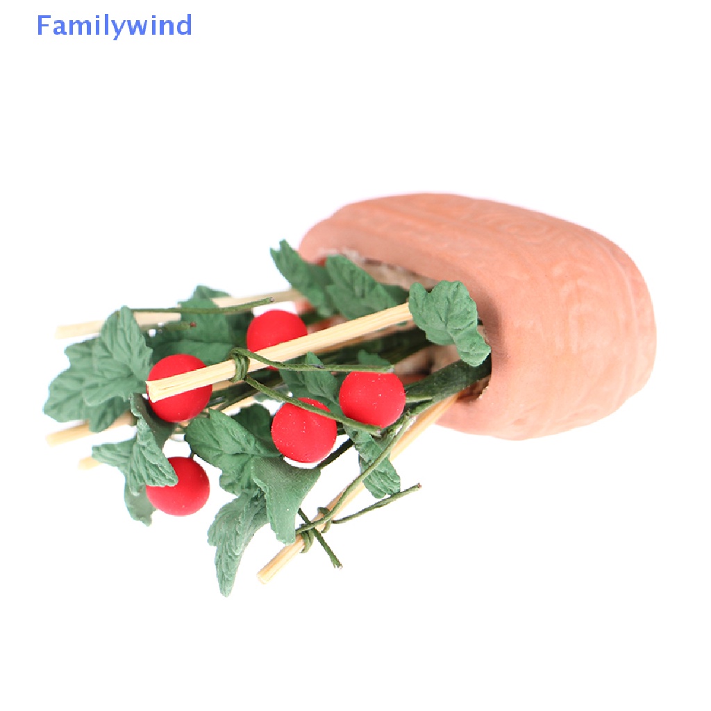 Quả Cà Chua Mini Tỉ Lệ 1: 12 Trang Trí Tiểu Cảnh