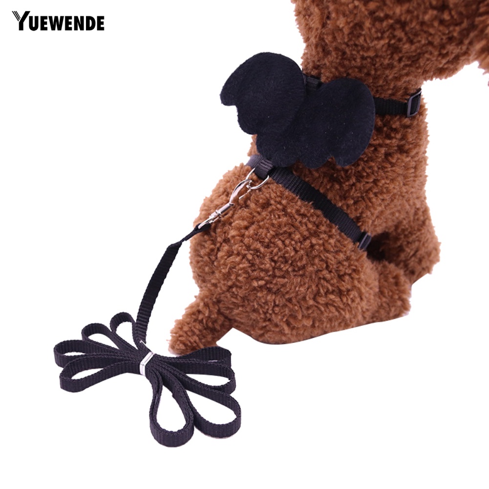 Dây Dắt Thú Cưng Đi Dạo Hình Đôi Cánh Dễ Thương