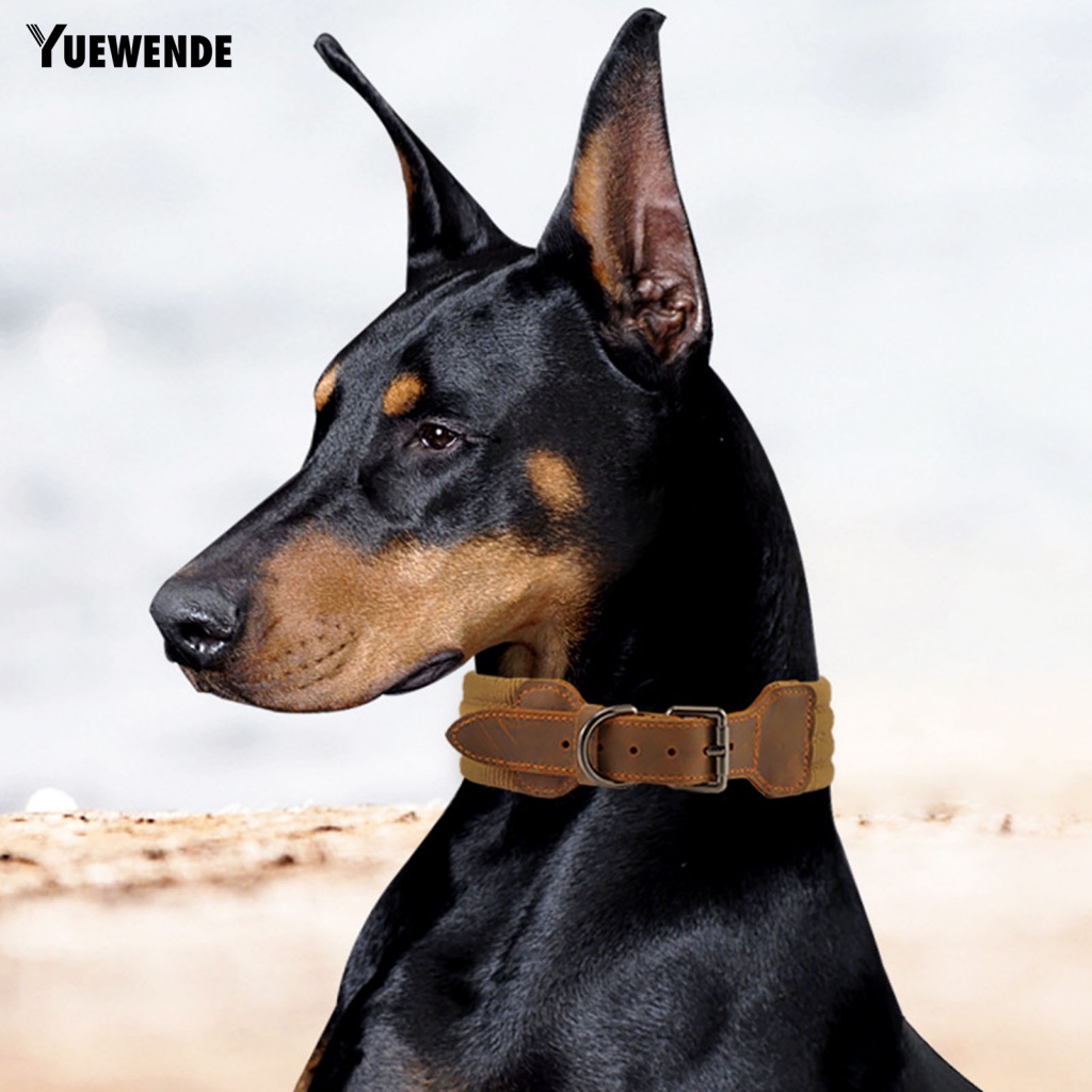 Vòng Cổ Mềm Mại Chống Rách Dành Cho Thú Cưng Cỡ Nhỏ / Vừa / Nhỏ