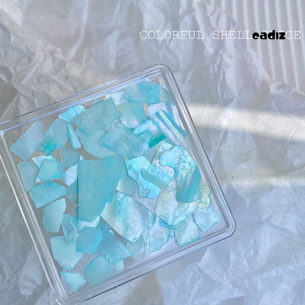 1 Hộp Vỏ Sò Tự Nhiên Siêu Mỏng Trang Trí Móng Tay Chống Rơi DIY