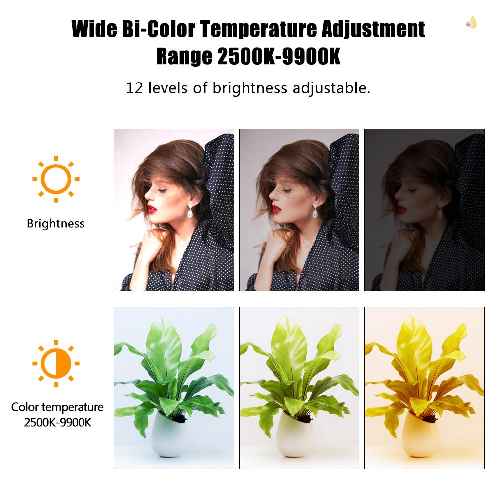 Gậy Đèn LED TC-209RGB RGB Màu Sắc Chịu Nhiệt Độ 2500K-9900K CRI 95 6 Chế Độ 12 Loại Tùy Chỉnh Tiện Dụng