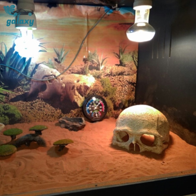 Galaxy Mô Hình Đầu Lâu Người Cho Bể Cá