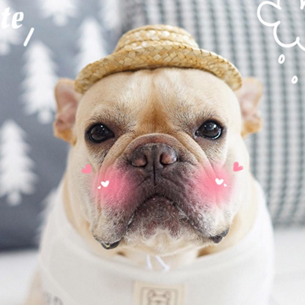 Mũ Rơm Chống Nắng Dễ Thương Cho Thú Cưng