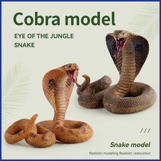 Mô hình con rắn nhân tạo dùng trang trí tiểu cảnh