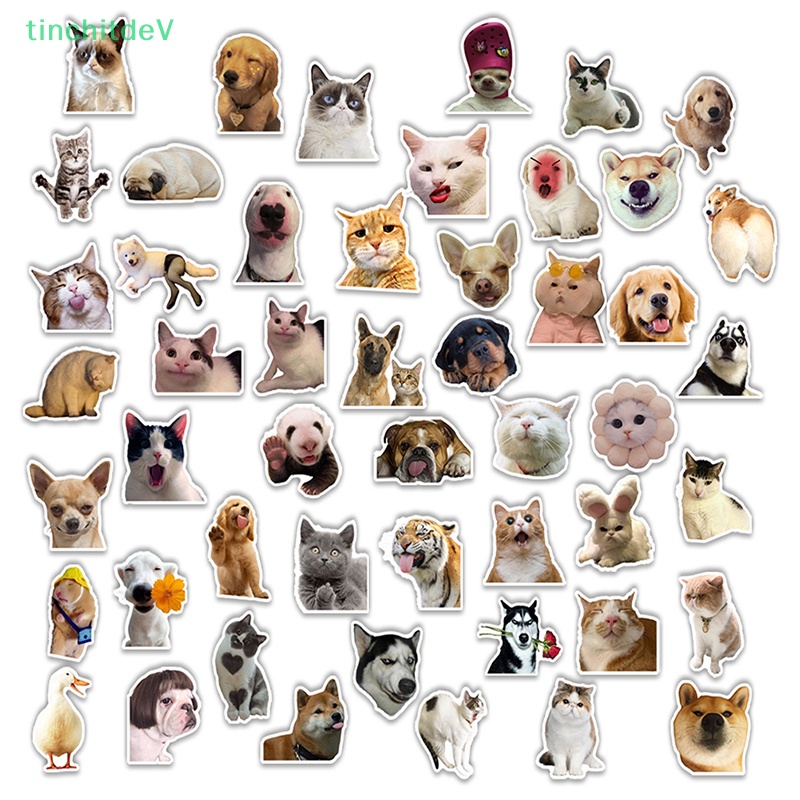 Bộ 50 Miếng Dán Hình Mèo Vui Nhộn Chống Thấm Nước