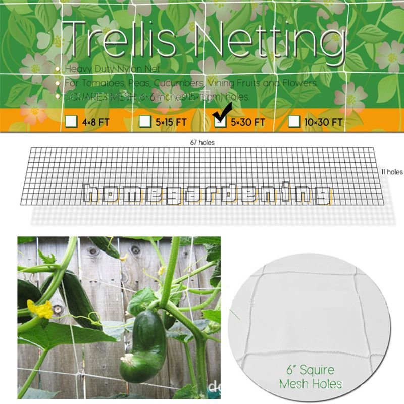 Lưới Polyester 5x15 / 5x30FT Hỗ Trợ Trồng Cây Dây Leo