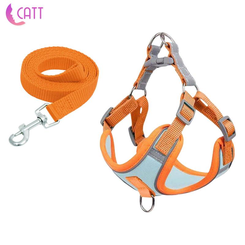 Đai Dắt Thú Cưng Đi Dạo Mềm Mại Phản Quang Dễ Điều Chỉnh 1 # Dadada1]