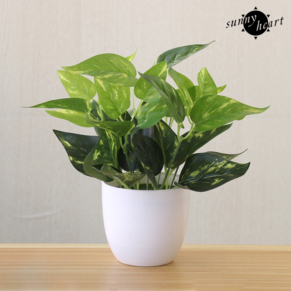 Chậu Cây Bonsai Bằng Nhựa Không Phai Đa Năng Trang Trí Nhà Cửa / Tiệc Cưới