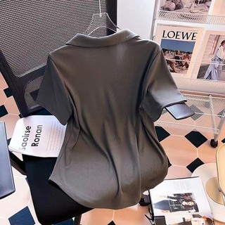 Áo polo Tay Ngắn Plus Size Cho Nữ (4 Màu)