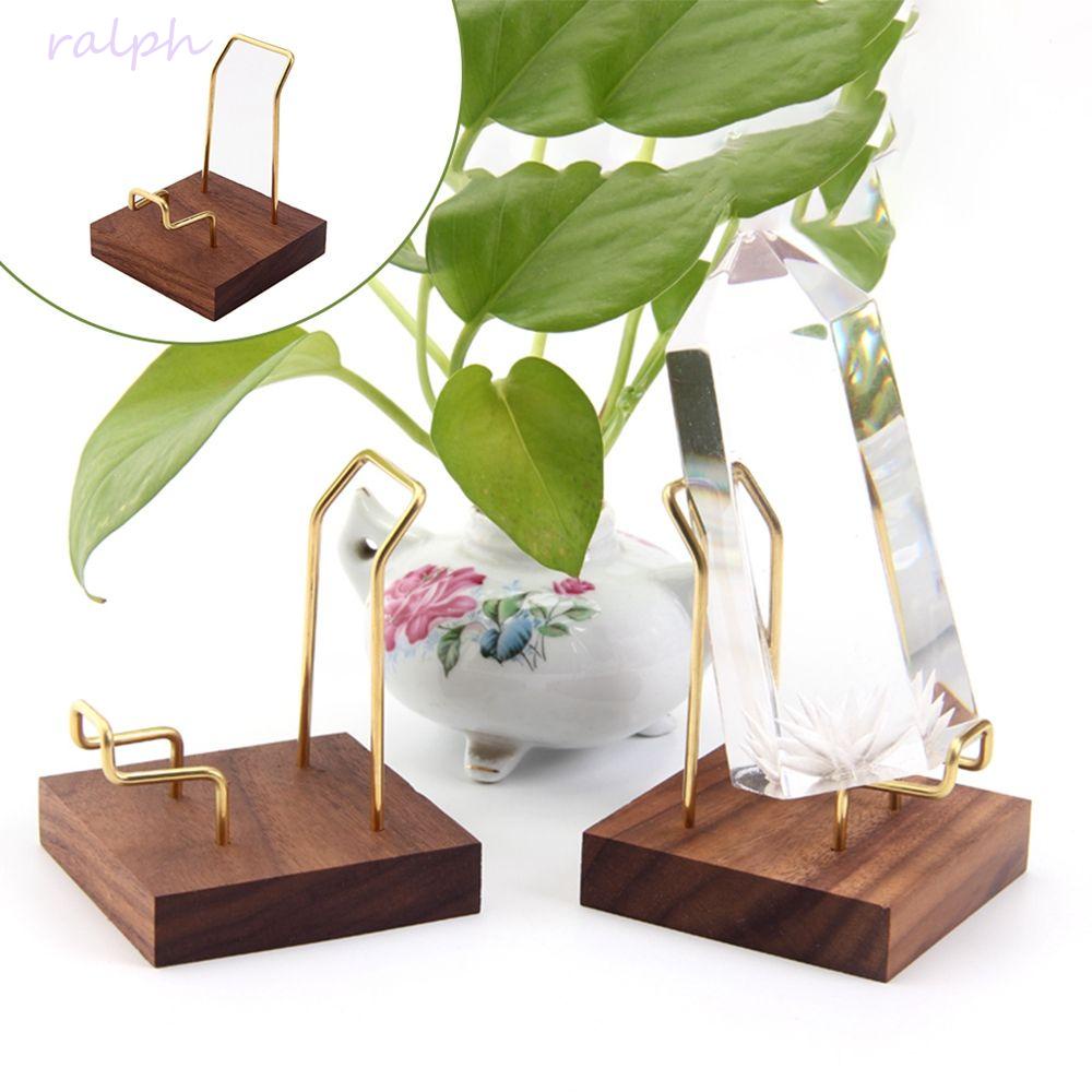 Đế Hạt Óc Chó Đứng RALPH Cho|Giá Đỡ Trưng Bày Đá Khoáng Chất Lượng Cao