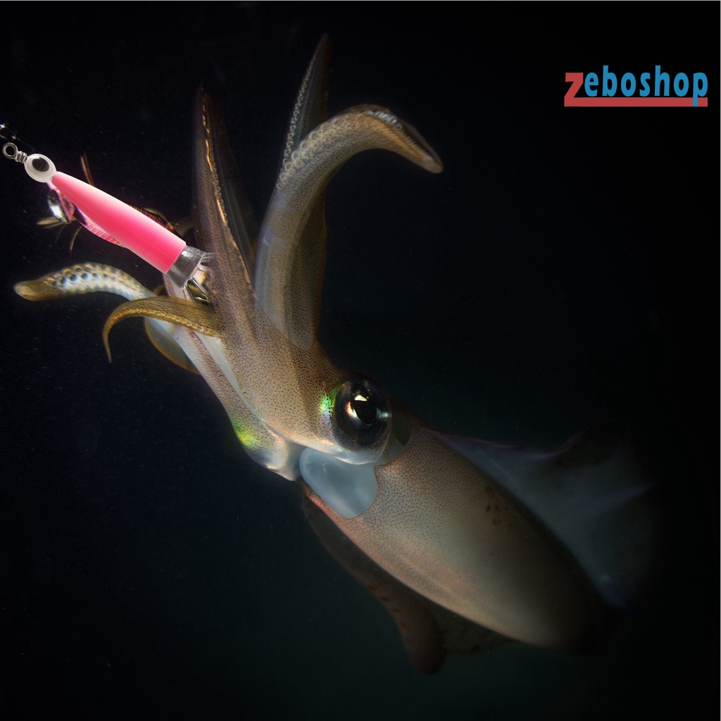 Zeboshop Mực Câu Cá 8 / 10 Kim Mắt Nhọn Màu Sắc Tươi Sáng Phổ Biến