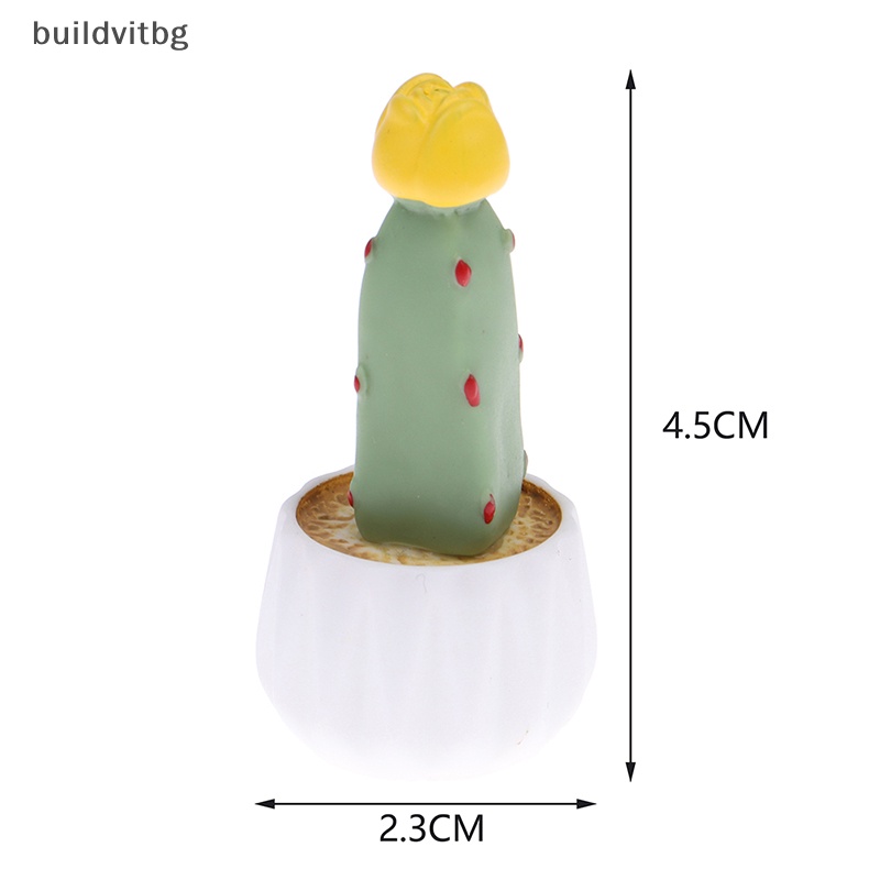 Chậu Cây Xương Rồng Nhỏ Dùng Trang Trí Xe Hơi Dễ Thương