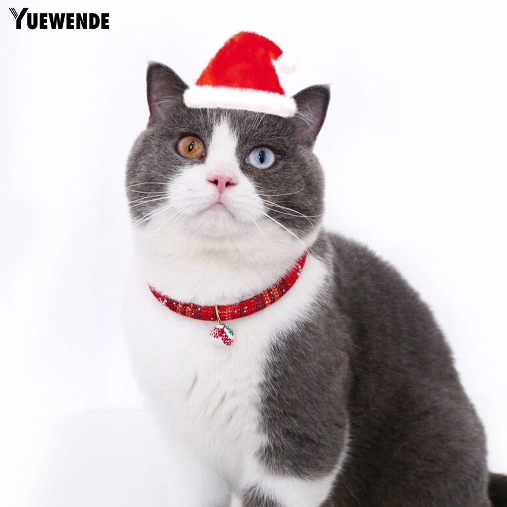 Vòng Cổ Họa Tiết Bông Tuyết Thời Trang Cho Mèo Cưng