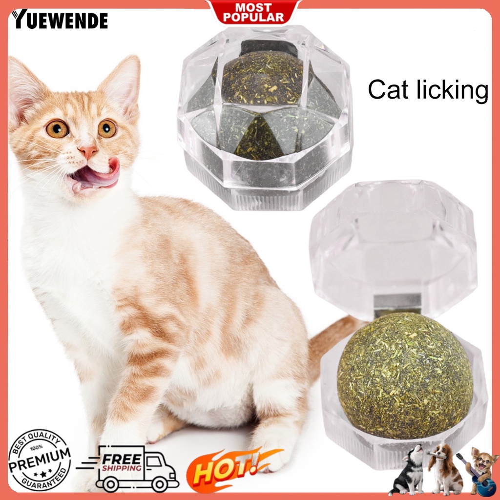 1 Bộ Bóng Đồ Chơi Bằng Chất Liệu Tự Nhiên Chống Cắn Kèm Hộp Đựng Cho Mèo Cưng