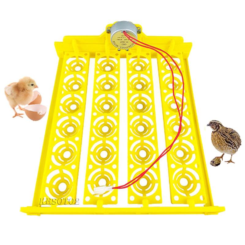 Máy Ấp Trứng Gà 24 Ngăn Tự Động Tiện Dụng