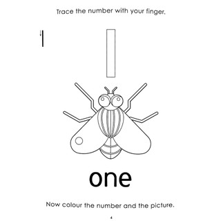 Little Genius: 123 Fun - Fun Educational Workbook