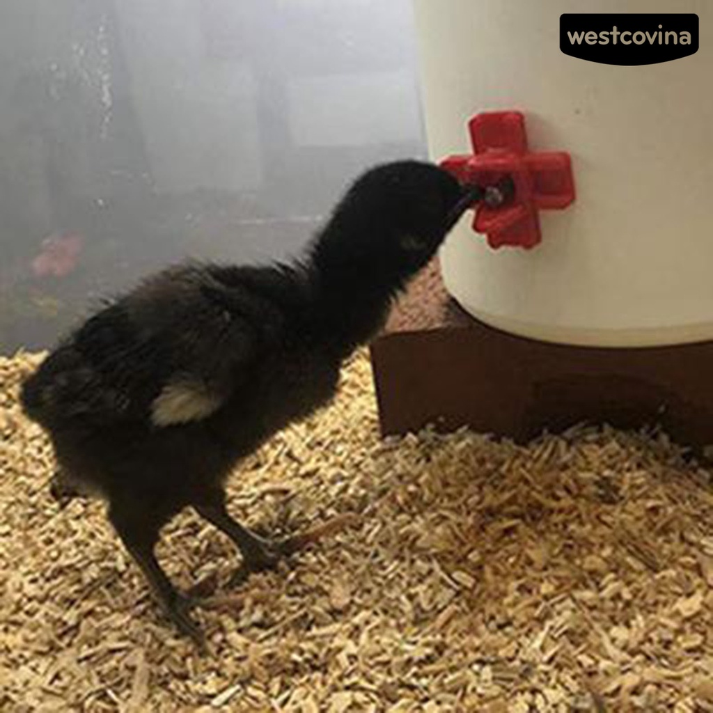 [COD]♞Set 10 Núm Uống Nước Tự Động Cho Gà