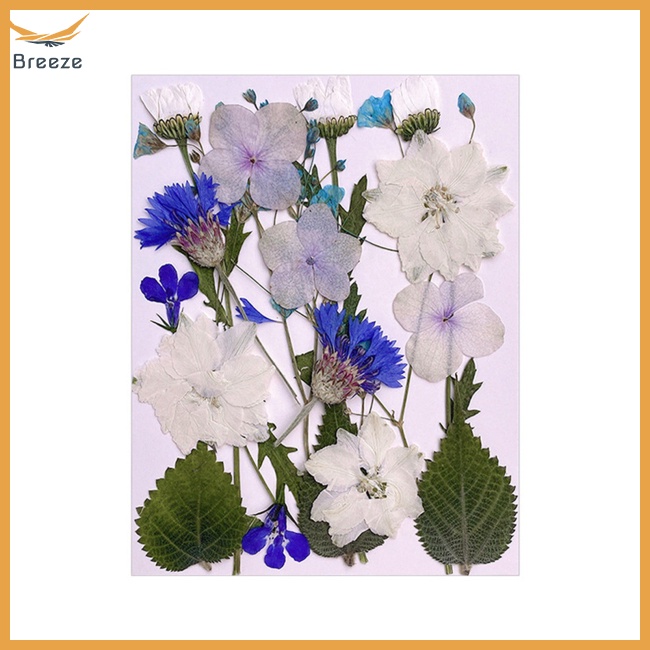 1 Túi Hoa Khô Dùng Trang Trí Điện Thoại / Trang Sức / Móng Tay Nghệ Thuật Diy