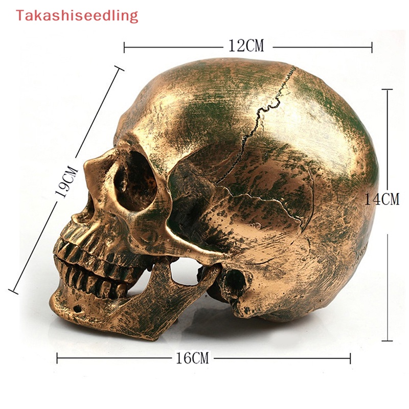 Mô Hình Đầu Lâu Bằng Đồng Tỉ Lệ 1: 1 Dùng Trang Trí Halloween