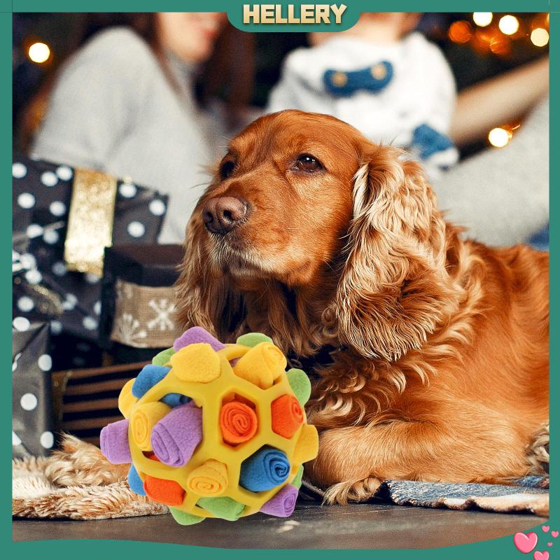 Đồ Chơi Tương Tác Với Thú Cưng Giải Tỏa Căng Thẳng
