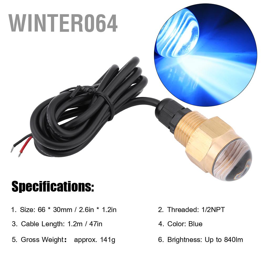 Winter064 Mềm Thuyền 12V Đồng Thủy Tinh LED Xanh Dương Dưới Nước Ánh Sáng Đèn Cống Plug1/2 &quot;NPT Du Phụ Kiện