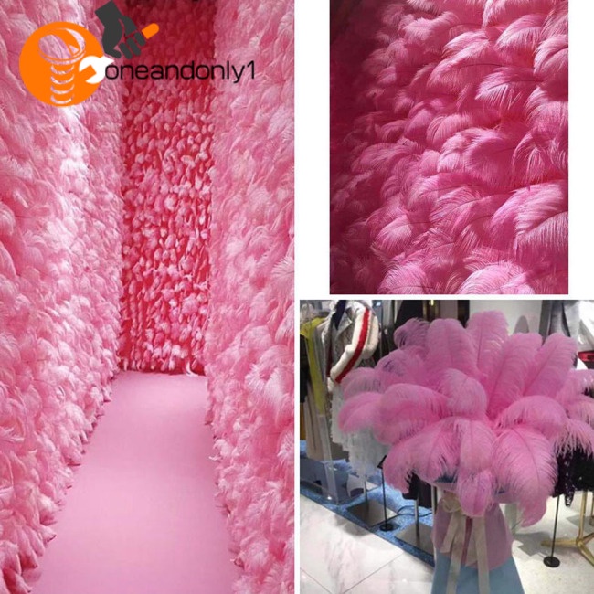 Bộ 100 Lông Đà Điểu 15-20cm Tự Nhiên Dùng Trang Trí Tiệc Cưới