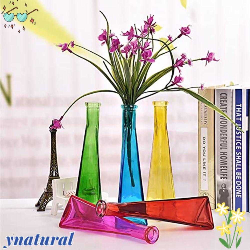 YNATURAL Kính Bình Thủy Tinh Trồng Cây Thủy Canh Thiết Kế Hiện