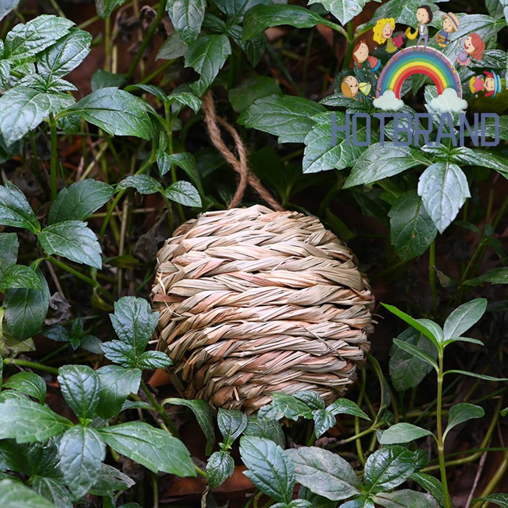 Tổ Chim Bằng Cỏ Tự Nhiên Dùng Trang Trí