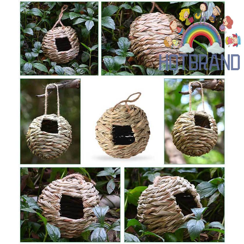 Tổ Chim Bằng Cỏ Tự Nhiên Dùng Trang Trí