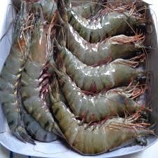 Tôm thẻ tươi cấp đông ngọt thịt 200g, 6-7 con