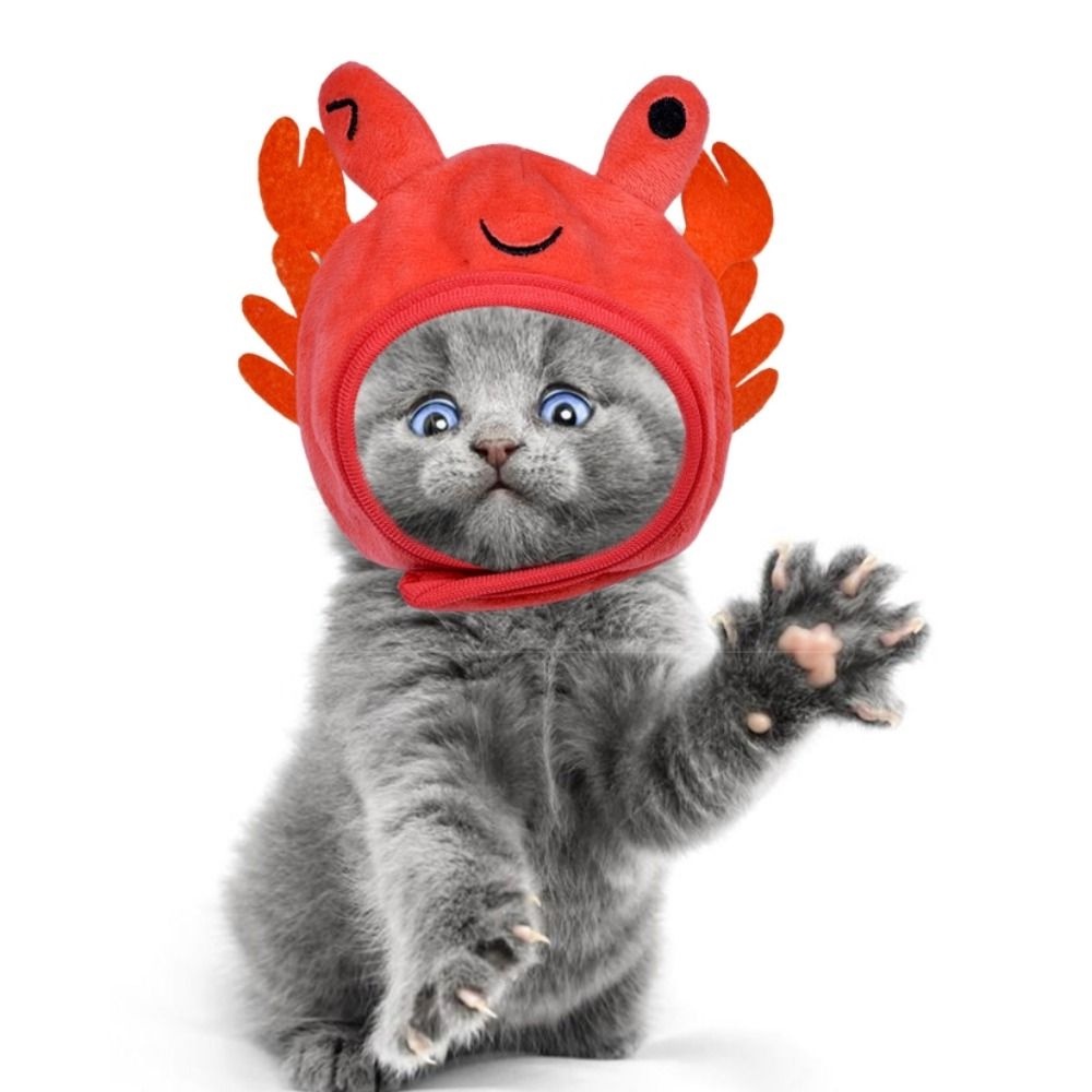 GIOVANNI Nón Đội Bằng Vải Bông Mềm Mại Thoáng Khí Hình Cua / Động Vật Dành Cho Thú Cưng