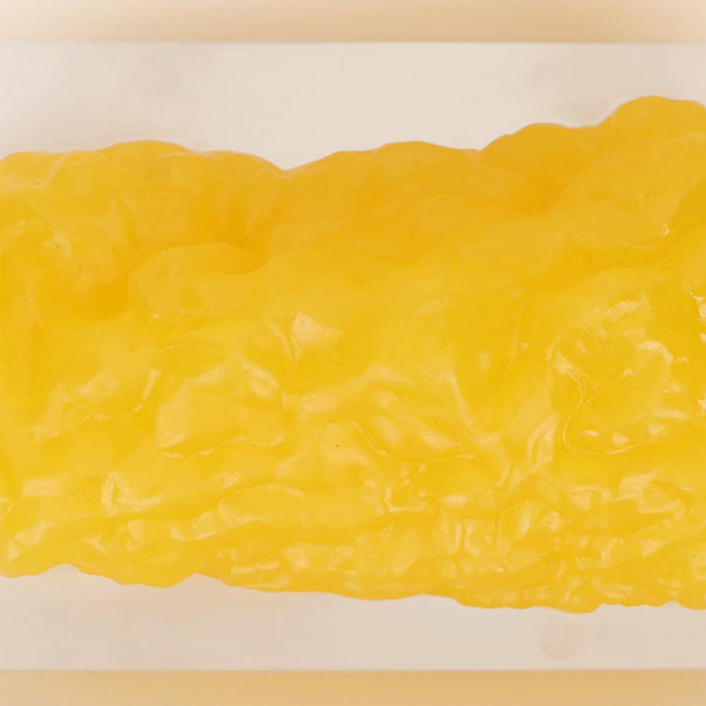 Bản sao mô mỡ cơ thể người 1lb Mô hình trình diễn cho khóa học khoa dinh dưỡng SUNCOL