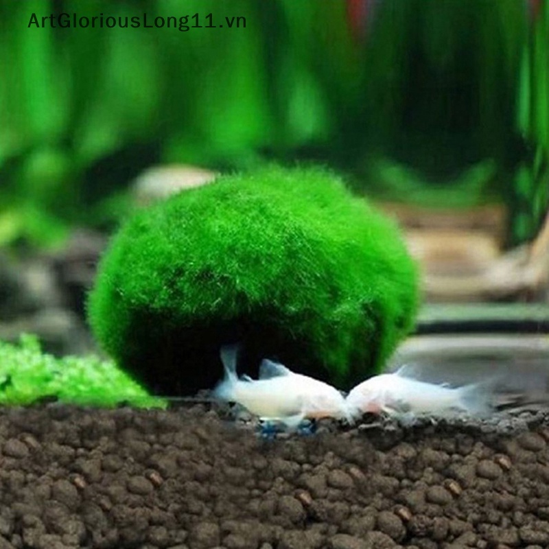 Artgloriouslong 3-4cm marimo balls tảo cá tôm trang trí mô phỏng quả bóng tảo xanh cây nhân tạo.