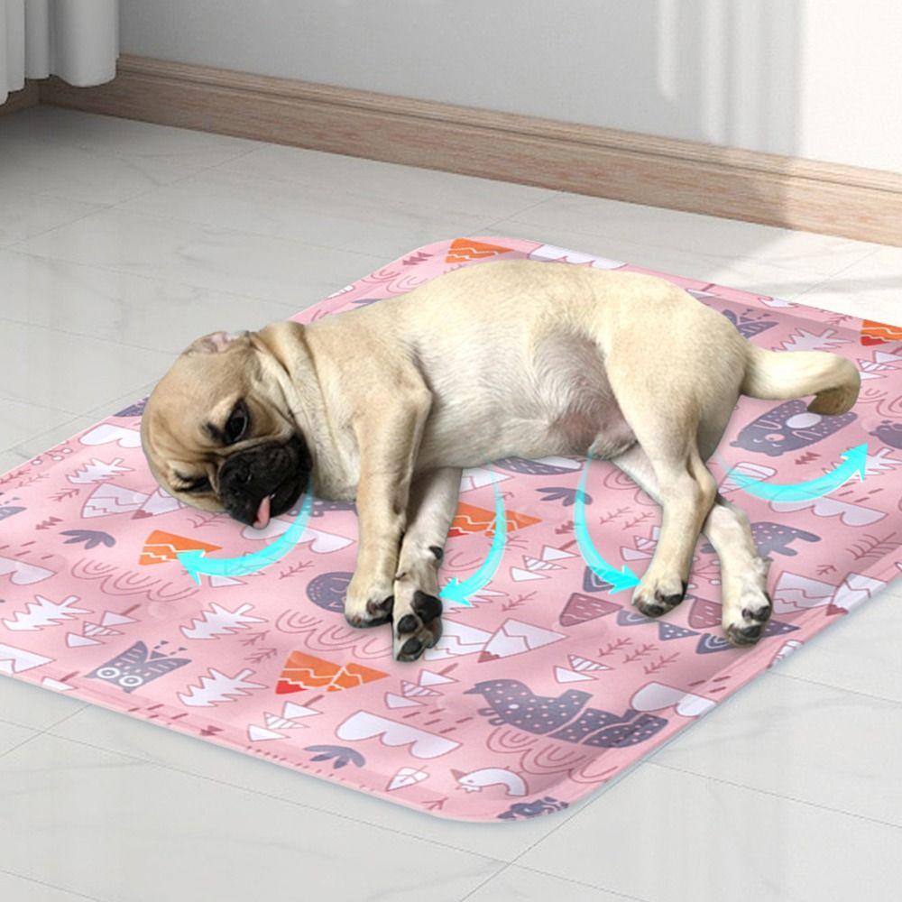 Thảm Ngủ Dã Ngoại Xinh Xắn Tiện Dụng Cho Thú Cưng