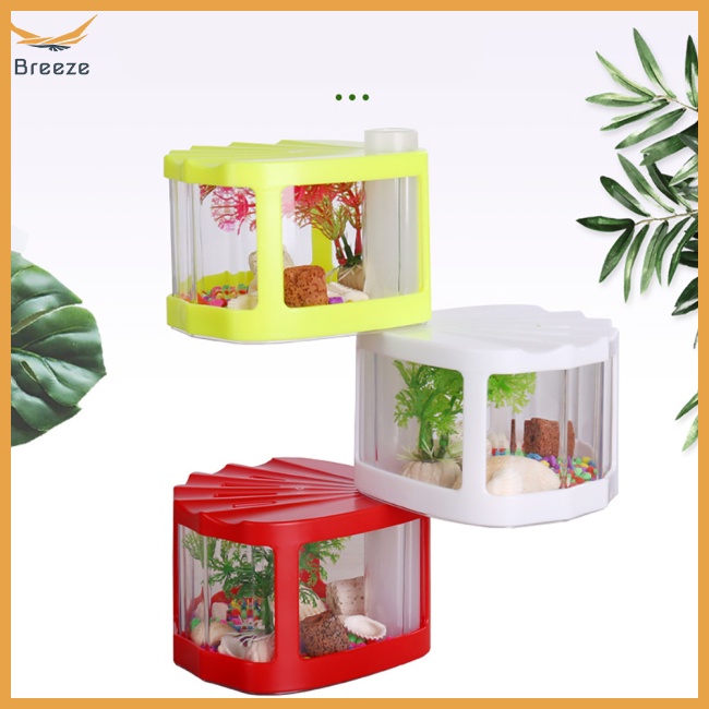 Hộp Đựng Côn Trùng Mini Trong Suốt Có Nắp Đậy Phù Hợp Cho Văn Phòng / Phòng Khách / Bàn Cà Phê