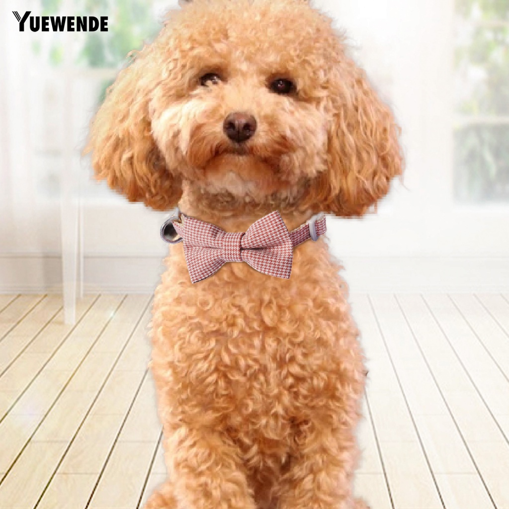 Vòng Cổ Màu Sắc Tươi Sáng Thoải Mái Cho Thú Cưng