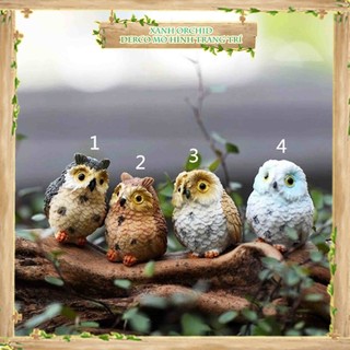 Mô Hình Tiểu Cảnh "Chim Cú Mèo Mini" Trang Trí Sen Đá, Sân Vườn/ Chậu Cây, DYI, Terrarium