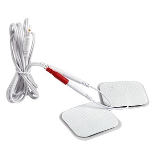 10 / 20 Dây Dẫn Điện Cực 2.5mm