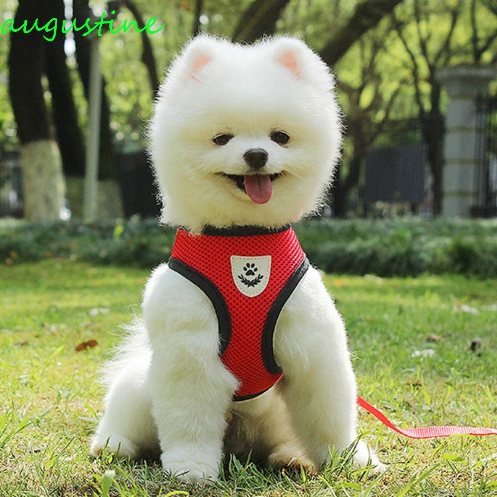 Dây Dắt Thú Cưng Đi Dạo Bằng Nilon Chống Thoát Hiểm Nhiều Màu Sắc AUGUSTINE 2023