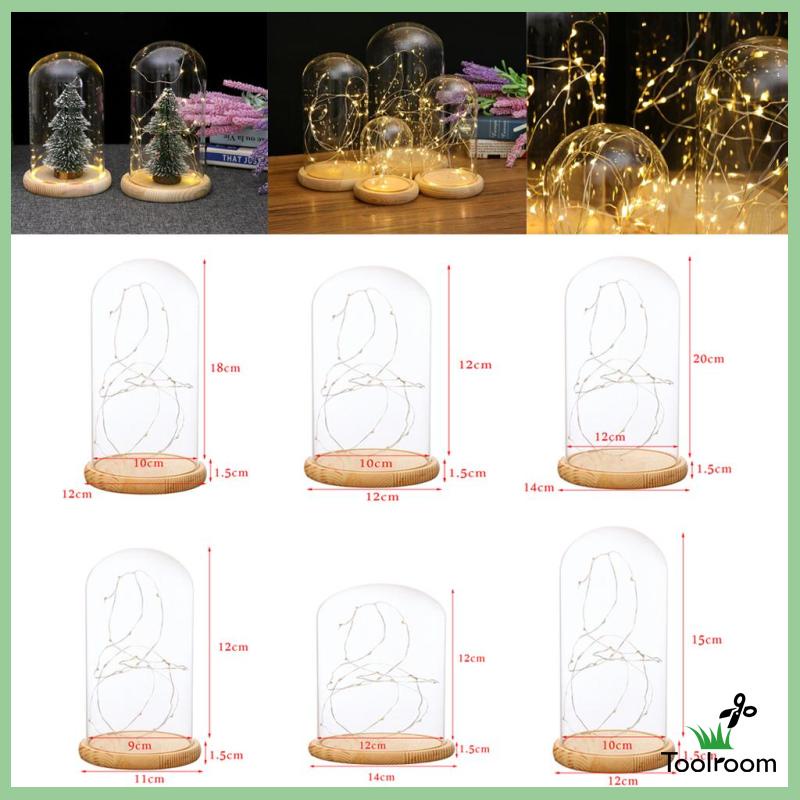 [Toolroom] Đèn LED Kính Cloche Để Bàn Chạy Bằng Pin A