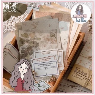 Set giấy nền nhám lớn ép hoa vintage DIY
