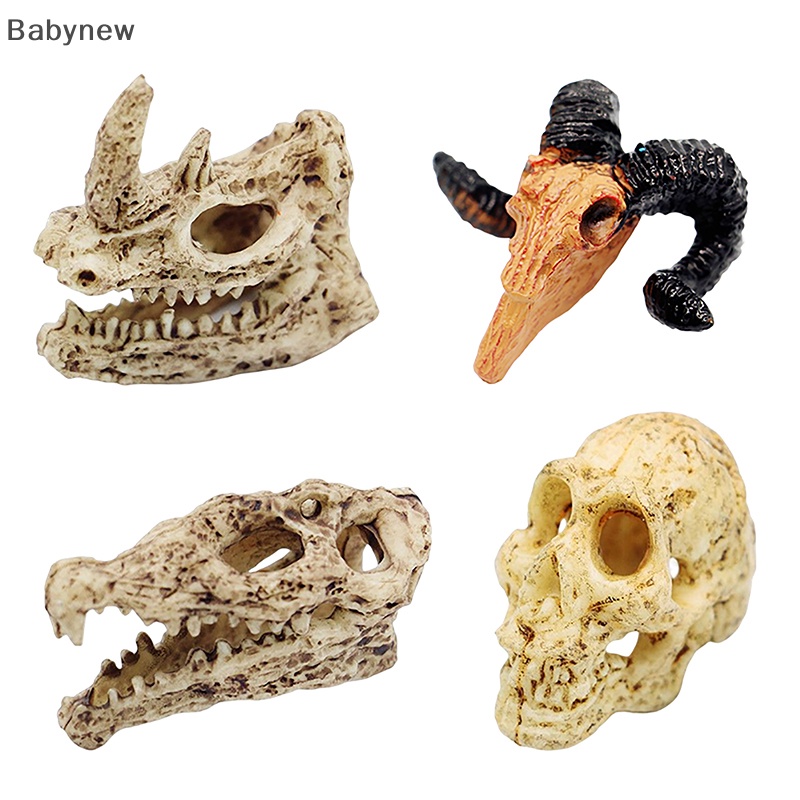 Mô Hình Sọ Cá Sấu Trang Trí Halloween Tỉ Lệ 1: 12