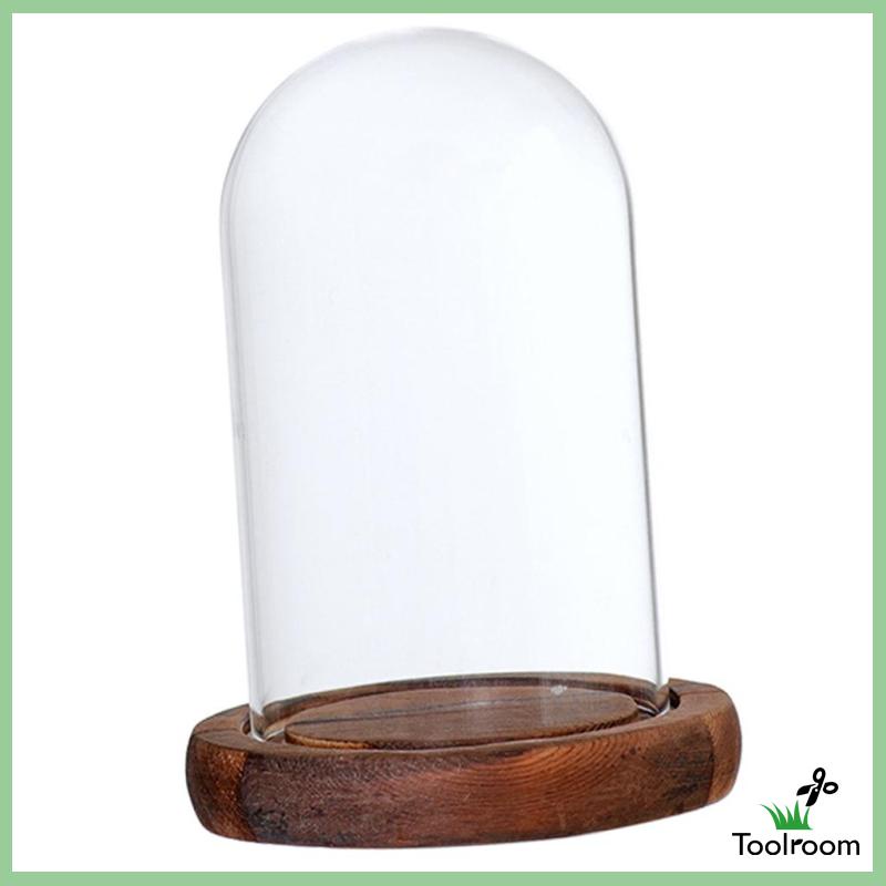 Giá Đỡ Cloche Mini Có Nắp Đậy Dùng Trang Trí Phong Cảnh