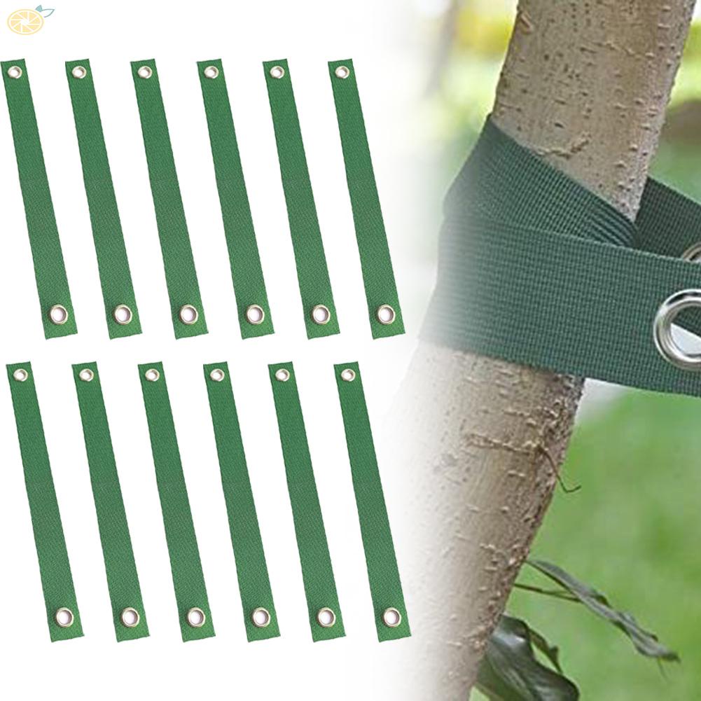【VARSTR】12PCS Tree Straps For Healthy Straight Trees Green Grow Beautiful Healthy Trees