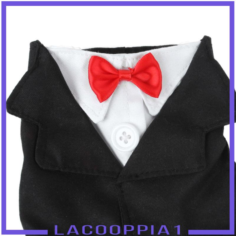 Bộ Đồng Phục Chú Chim Kỷ Niệm 1 Năm Dùng Làm Đạo Cụ Chụp Ảnh