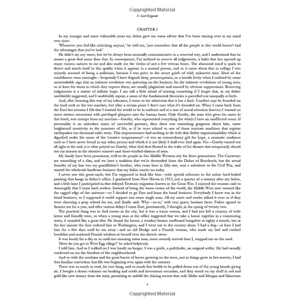 The Great Gatsby - Vintage Classic Library