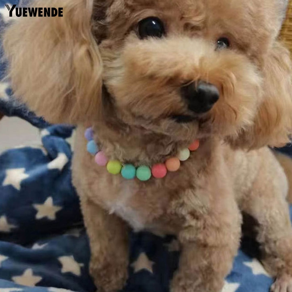 Vòng Cổ Ngọc Trai Giả Nhiều Màu Thời Trang Cho Thú Cưng Chụp Ảnh