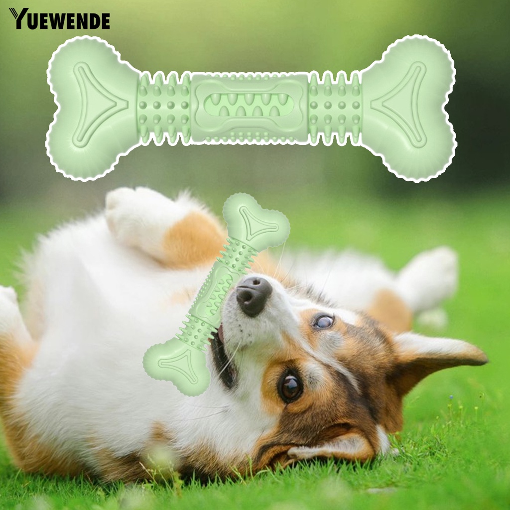 Đồ Chơi Huấn Luyện Cún Cưng Hình Khúc Xương Hoạt Hình Sáng Tạo Chống Mòn Chống Trầy Xước